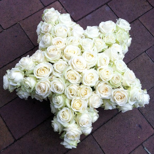 Stern d 40cm mit weißen Rosen Bild 1